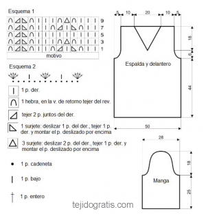 jersey esquema