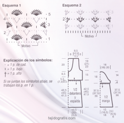 Tunica esquema