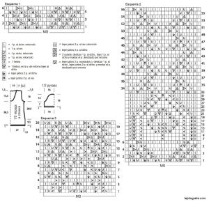 jersey esquema